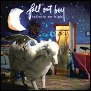 fall out boy: infinity on high